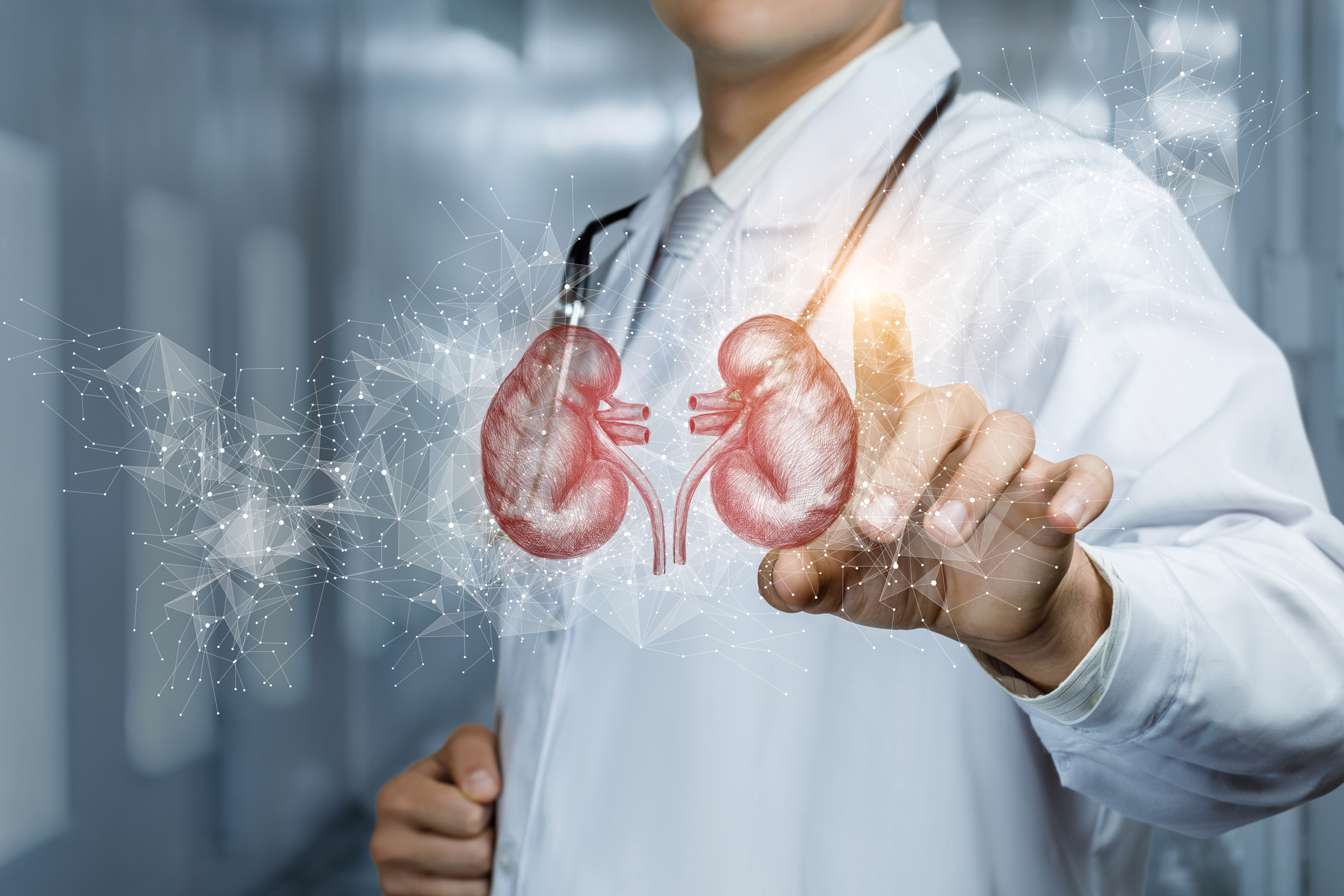 Nephrology Graphic
